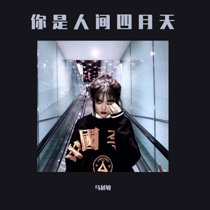 中文字幕在线网
